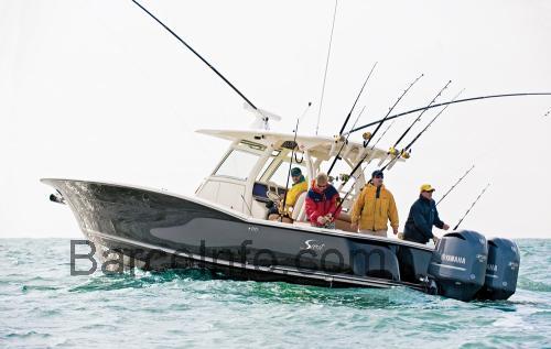 Scout 345 XSF ficha técnica y opiniones